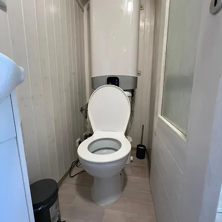 Orman Evi Maringotka U Lesa *