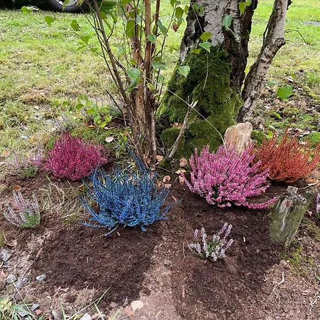 Maringotka U Lesa * Stankovice (Kutna Hora)